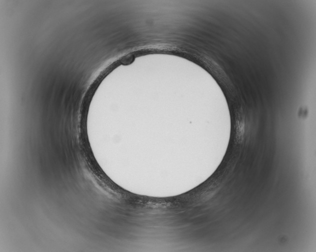 X0000114060484200911161132