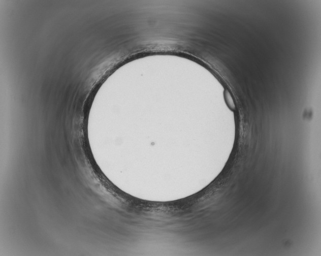 X0000114060485200911161132