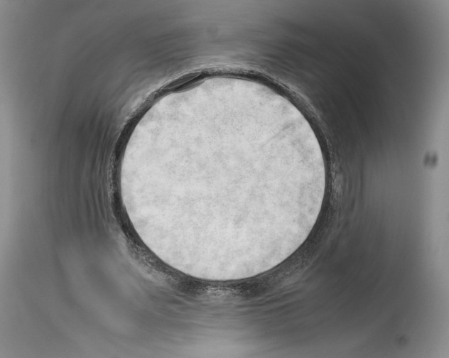 X0000114060487200911161132