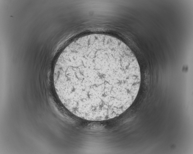 X0000114060491200911161132