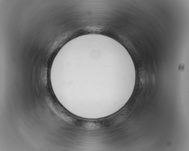 X0000114060494200911161132