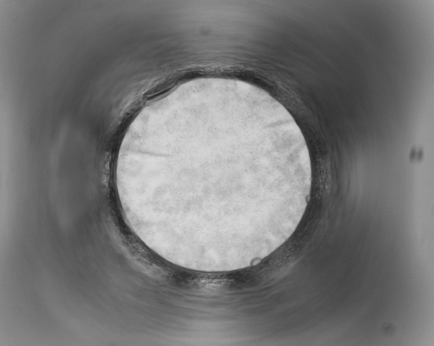 X0000114060495200911161132