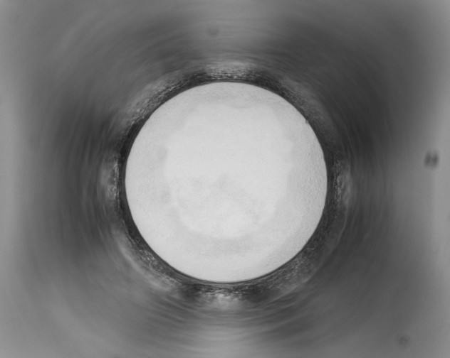 X0000114060498200911161132