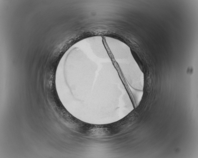 X0000114060499200911161132