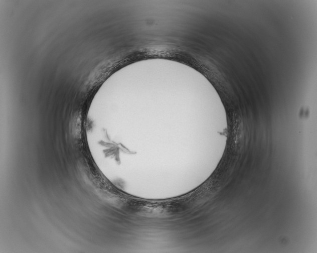 X0000114060502200911161132