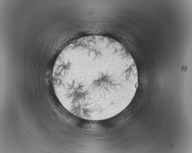 X0000114060503200911161132