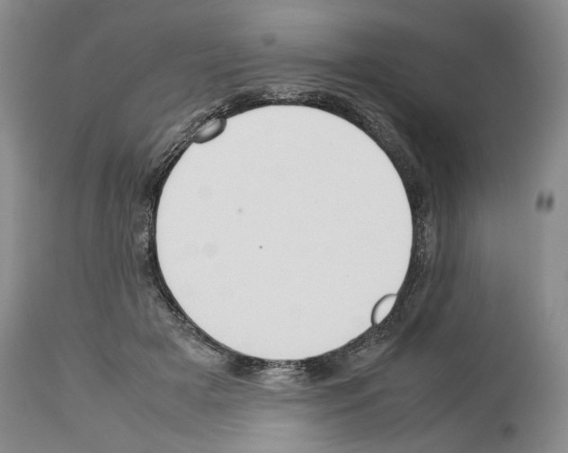 X0000114060505200911161132