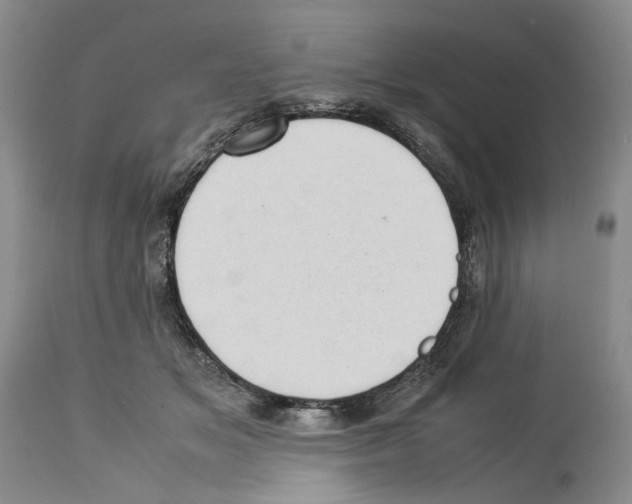 X0000114060509200911161132