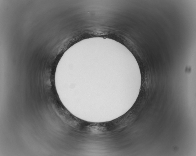 X0000114060512200911161132