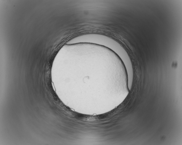 X0000114060513200911161132