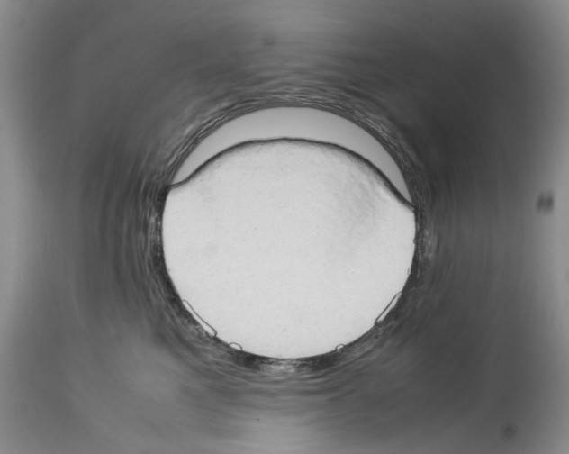 X0000114060521200911161131