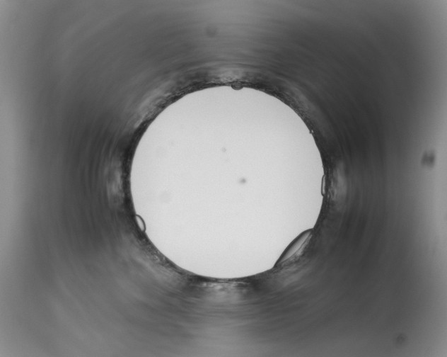 X0000114060524200911161131