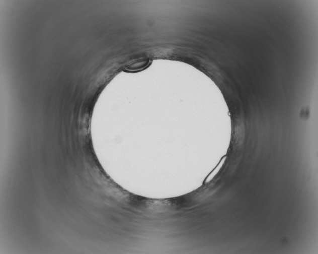 X0000114060525200911161131