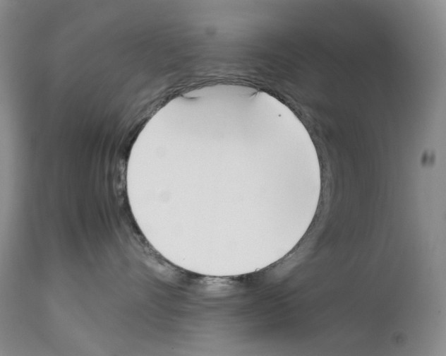 X0000114060528200911161131