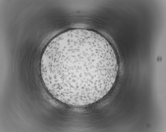 X0000114060529200911161131