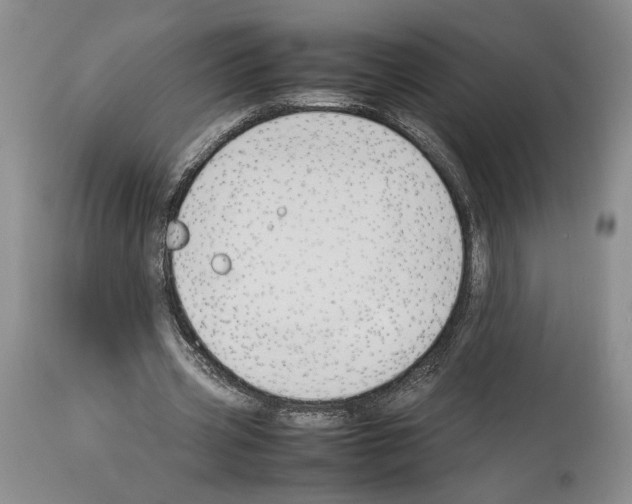 X0000114060533200911161131