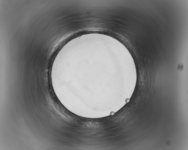 X0000114060535200911161131