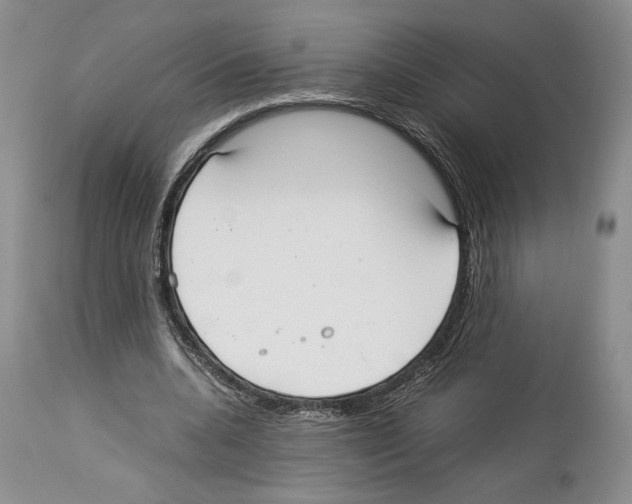 X0000114060536200911161131