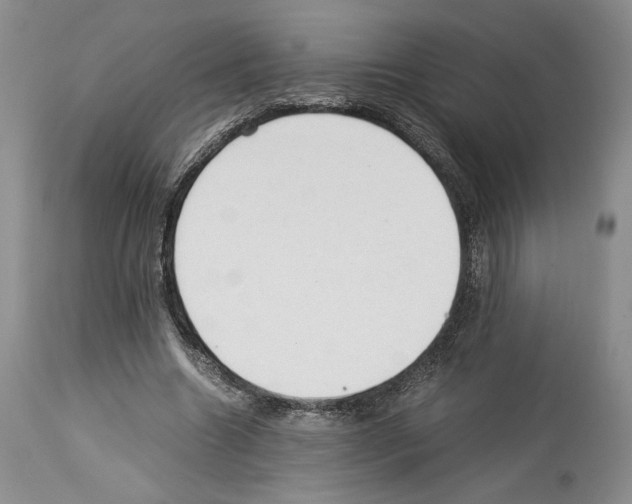 X0000114060538200911161131