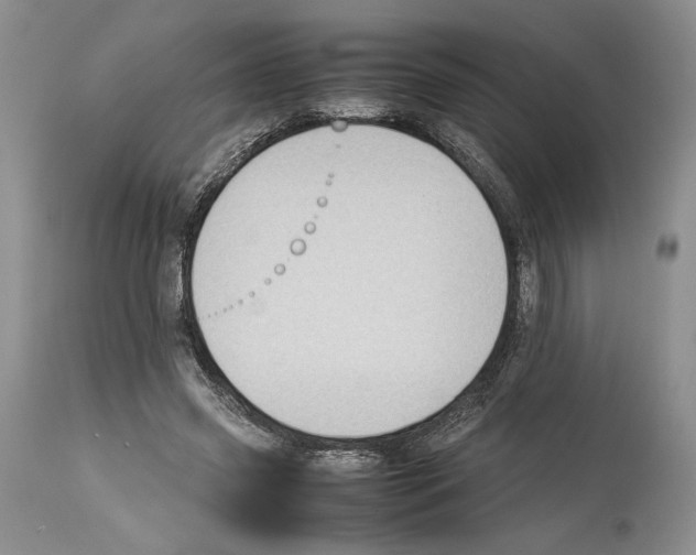 X0000114060541200911161131