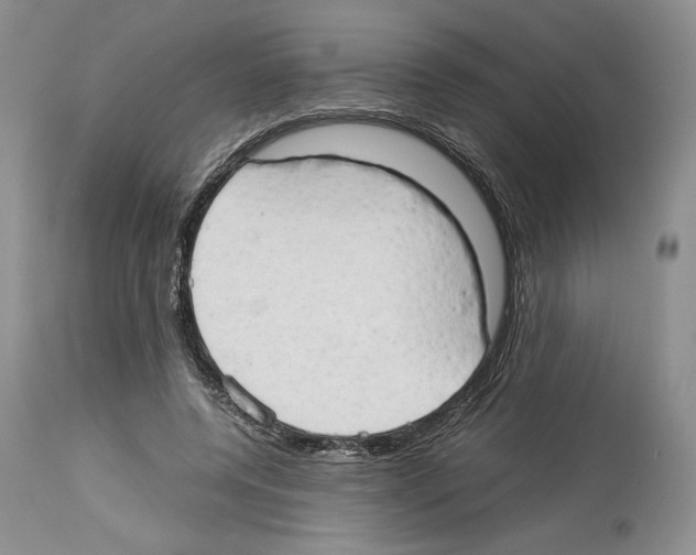 X0000114060544200911161131