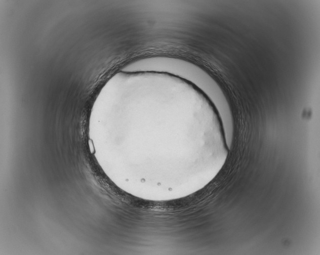 X0000114060546200911161131