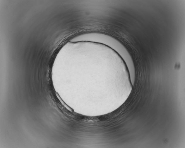 X0000114060548200911161131