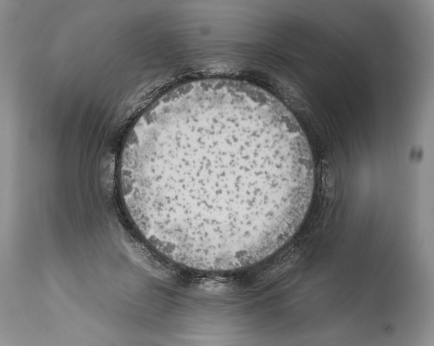 X0000114060550200911161131