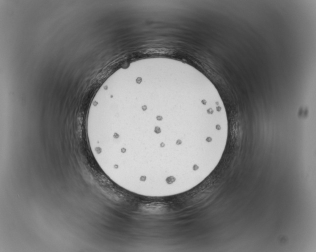 X0000114060551200911161131