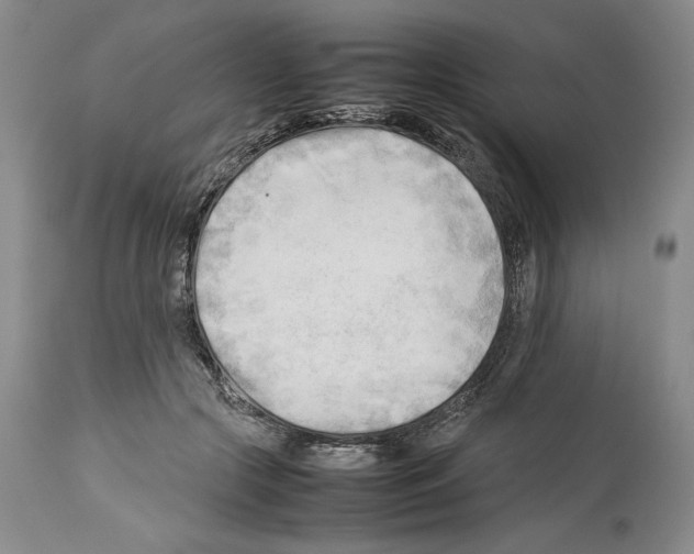 X0000114060553200911161131