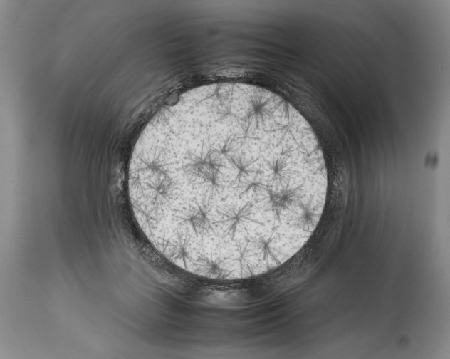 X0000114060555200911161131