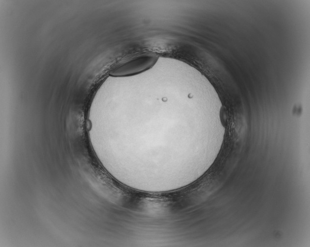 X0000114060556200911161131