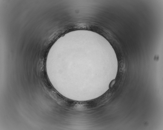 X0000114060560200911161131