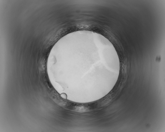 X0000114060561200911161131