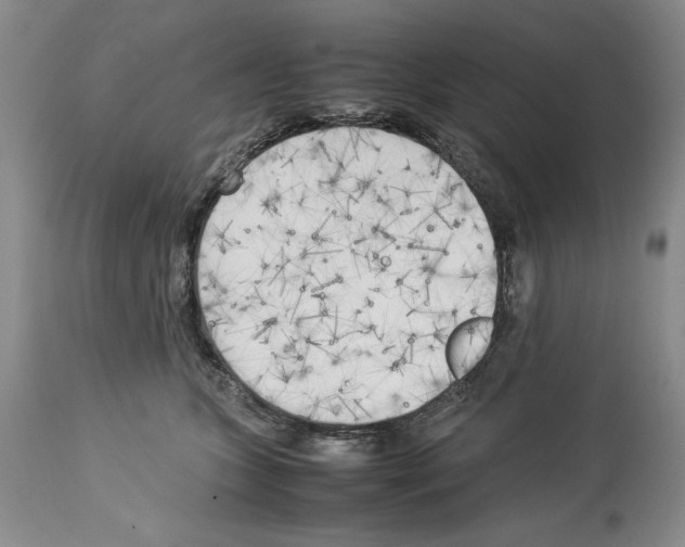 X0000114060563200911161131