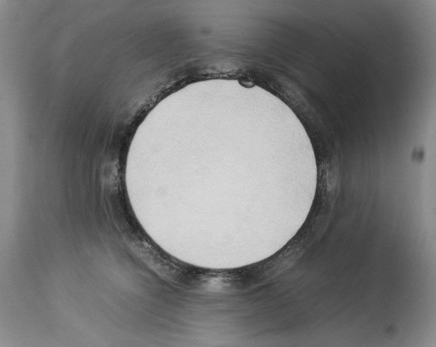 X0000114060564200911161131