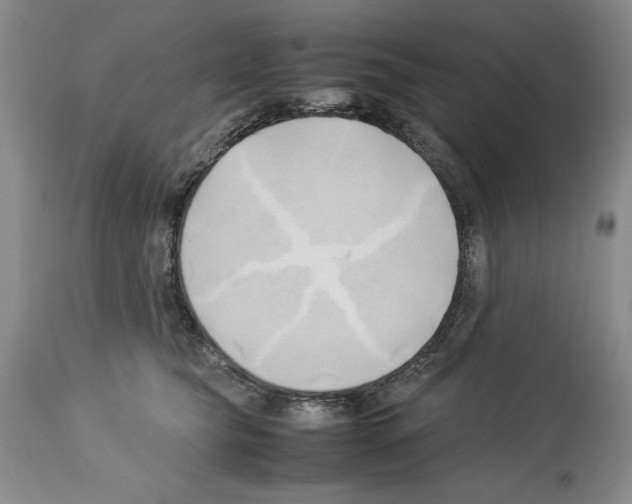 X0000114060565200911161131