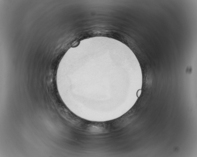 X0000114060567200911161131