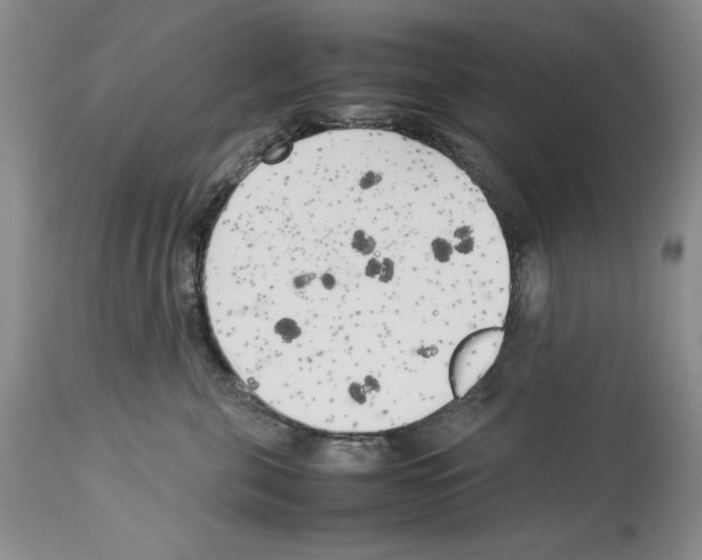 X0000114060571200911161131