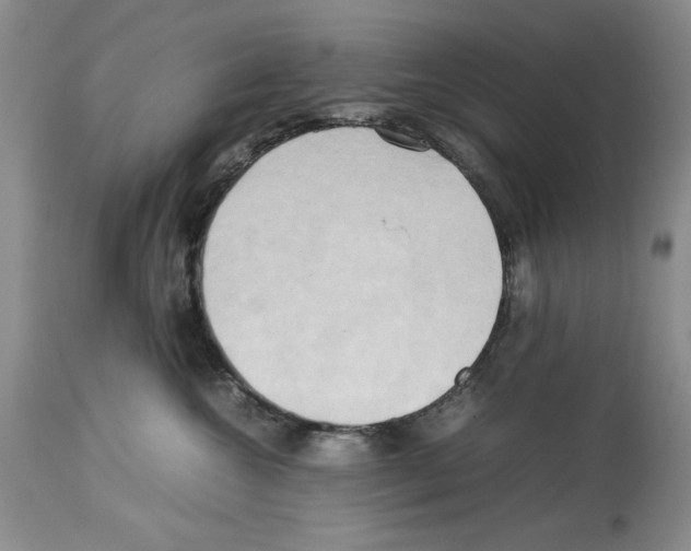 X0000114060572200911161131