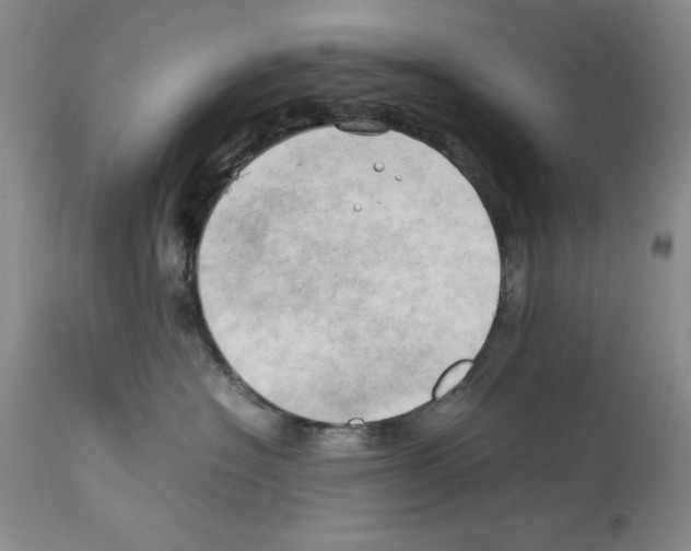 X0000114060574200911161131