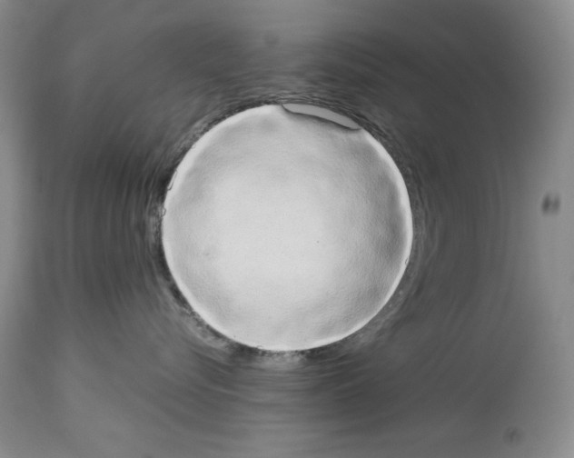 X0000114060576200911161131