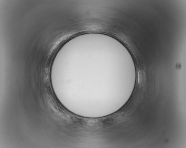 X0000114060579200911161131