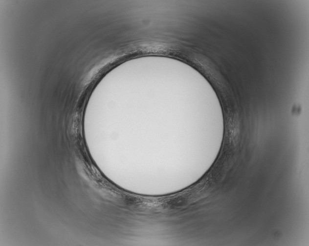 X0000114060583200911161131