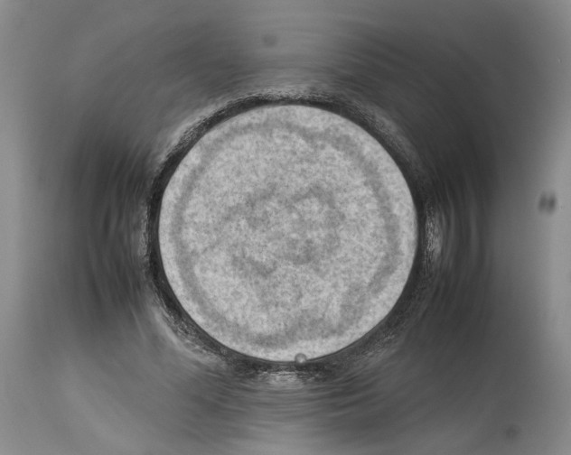 X0000114060588200911161131