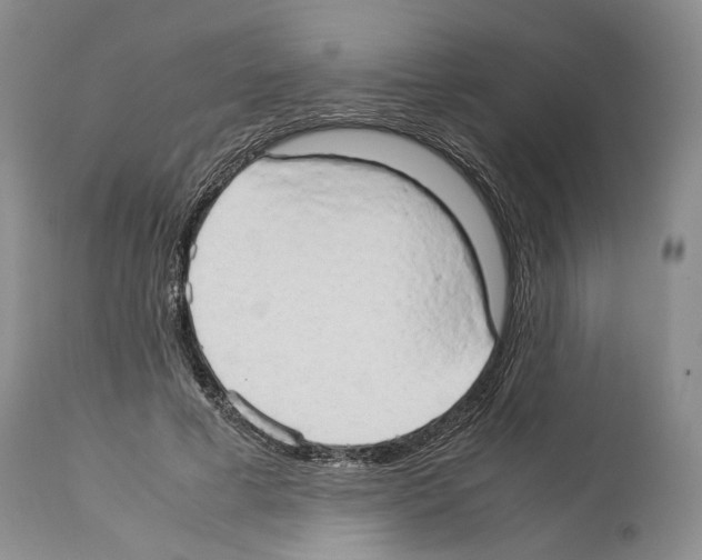 X0000114060593200911161130