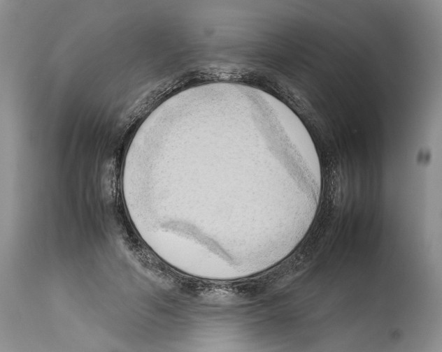 X0000114060594200911161130