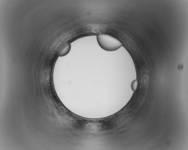 X0000114060595200911161130