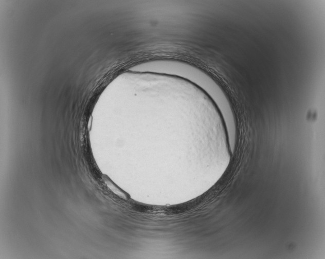 X0000114060597200911161130