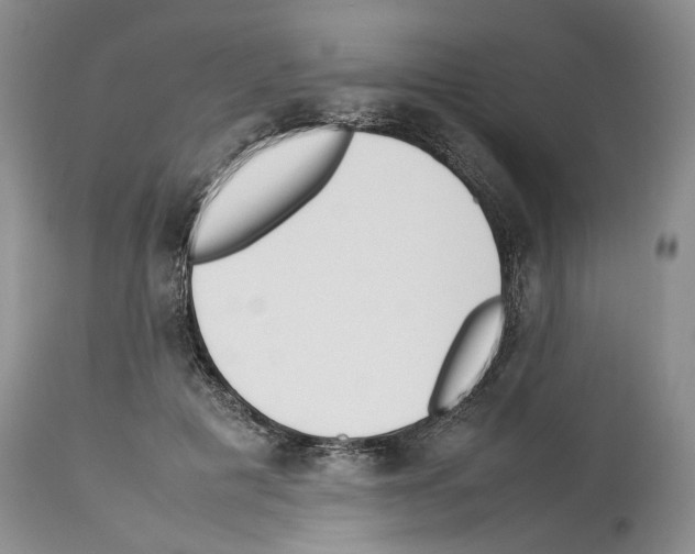 X0000114060601200911161130